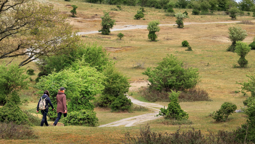 © foto Shutterstock