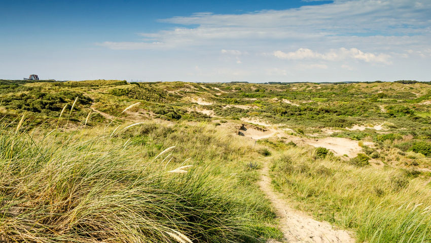 Kennemer Duinen wandelnieuws