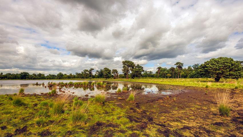 Strijbeekse Heide wandelnieuws