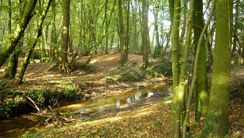 wandelnieuws willinkbeek