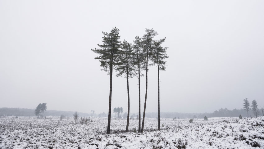 winter heuvelrug wandelnieuws