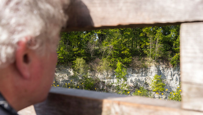 steengroeve Willinks Weust