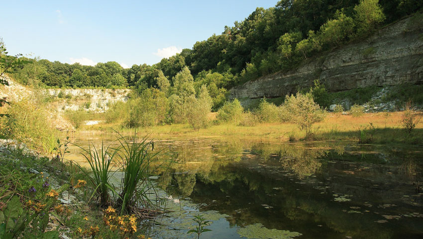 wandelnieuws winterswijk steengroeve