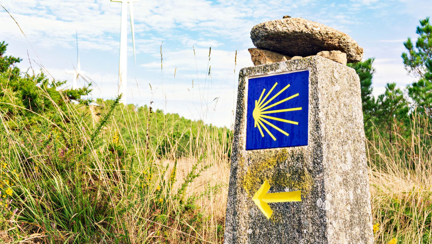 © foto Shutterstock