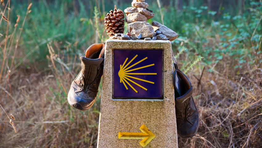 © foto Shutterstock