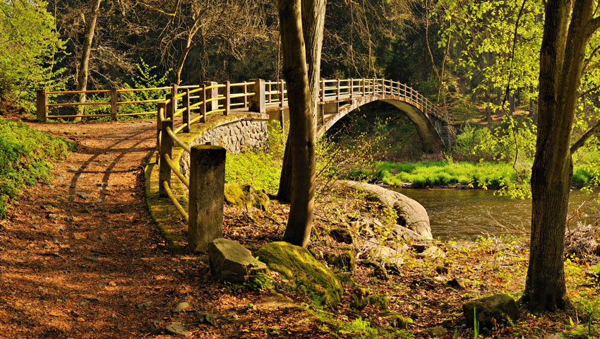 © foto Région Boheme du Sud