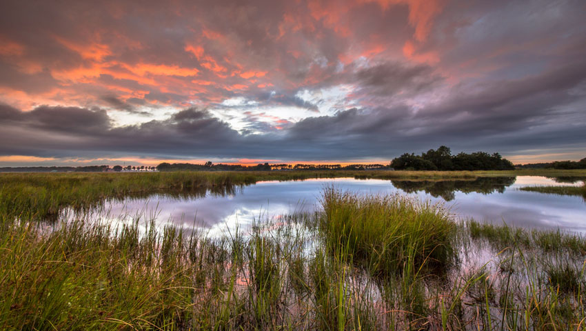 Omgeving Westerwolde © foto Shutterstock