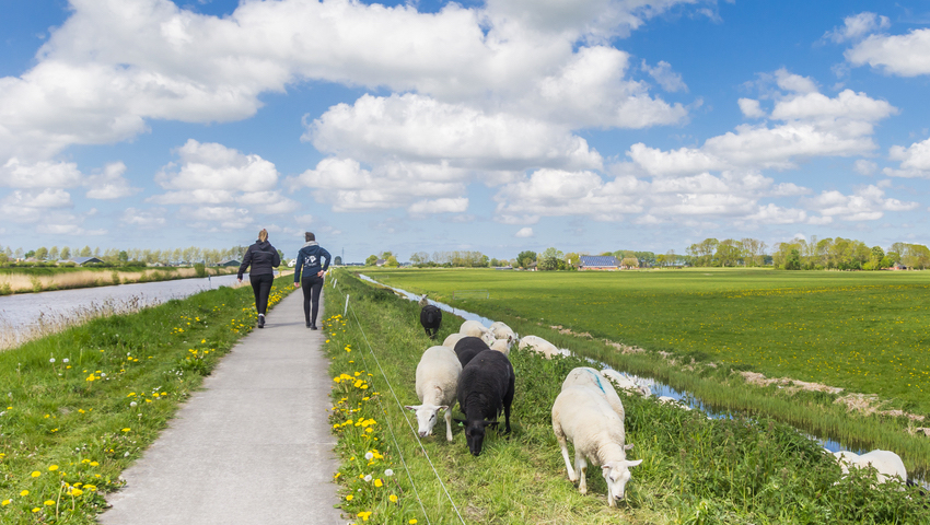 © foto Shutterstock