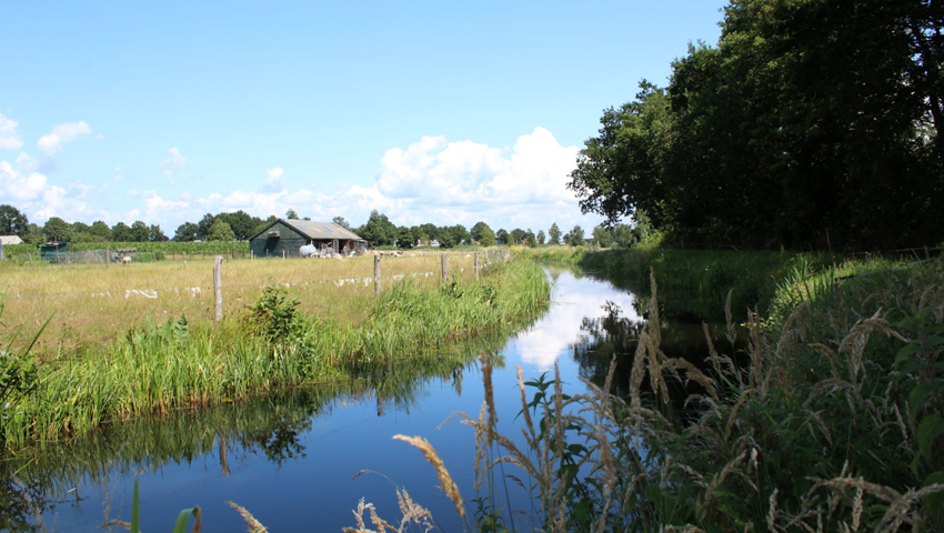 © foto Judy Montizaan