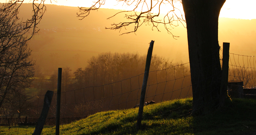 wandelnieuws krijtlandpad2