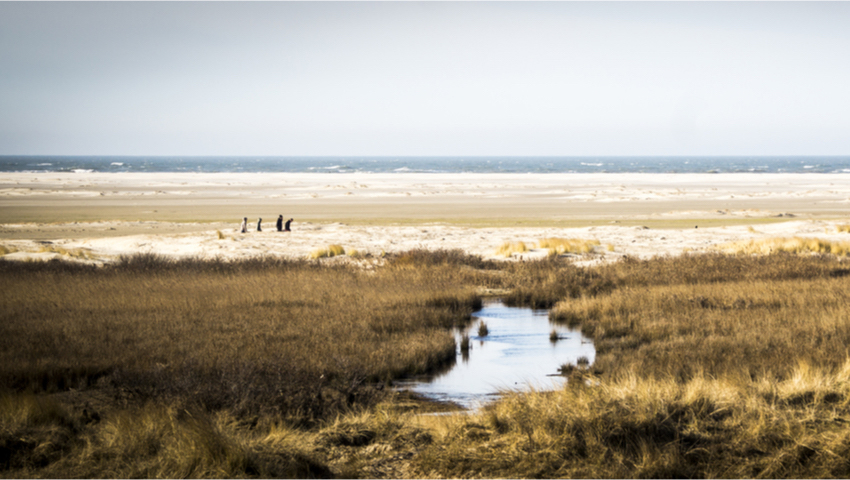 Wandelen op Borkum © foto Shutterstock