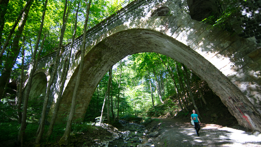 © foto Max de Krijger