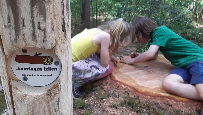 © foto Tjerk Steenbergen / StoutHout