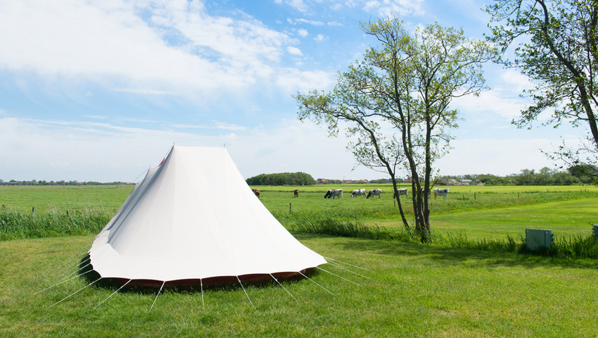 © foto Shutterstock