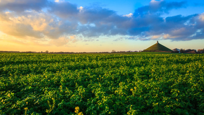 wandelnieuws slagveld van waterloo wbt d.vasilov