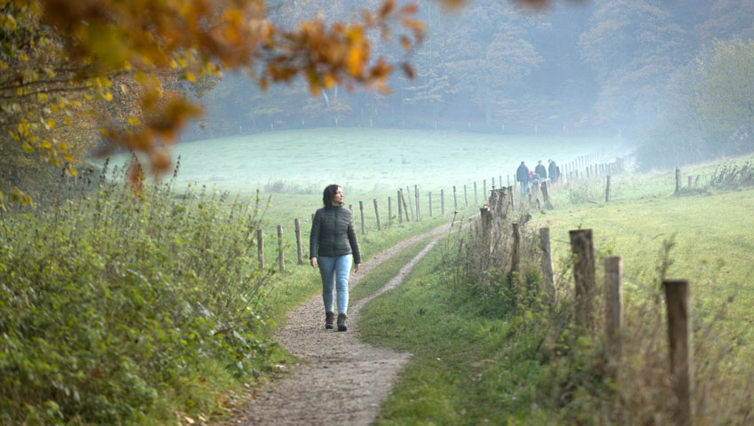 Berg en Dal © foto David Brand