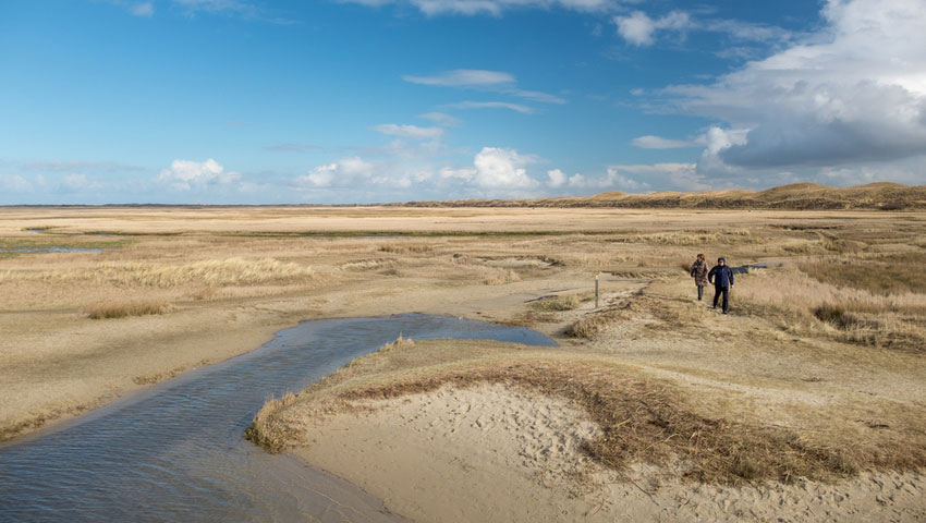 © foto Shutterstock