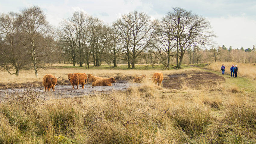 wandelnieuws foto metha eikens westerwolde ter borg577