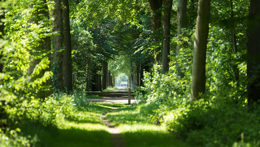 wandelnieuws nlw winterswijk 0168