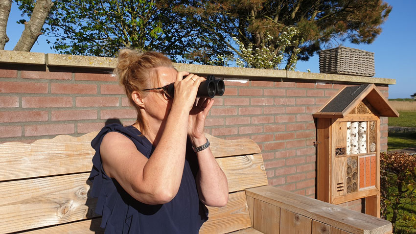 wandelnieuws thuisvogeltelling1