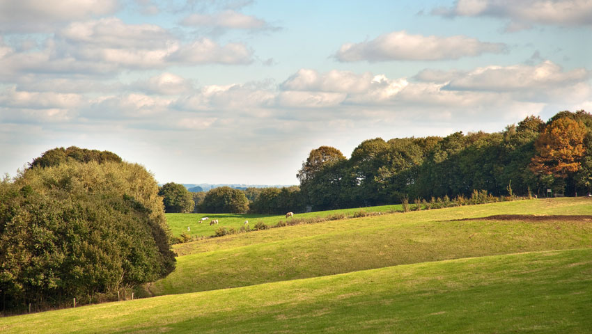 wandelnieuws bergendal heuvels