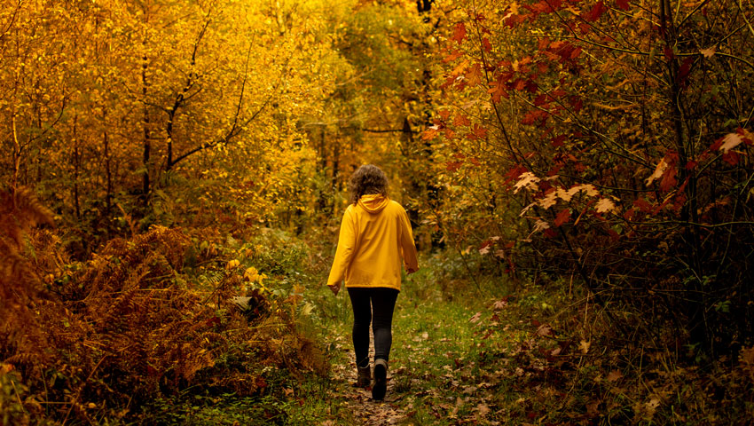 wandelnieuws groesbeek