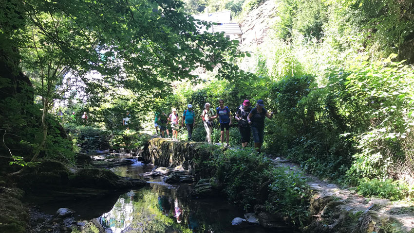 wandelnieuws jantonneman 1