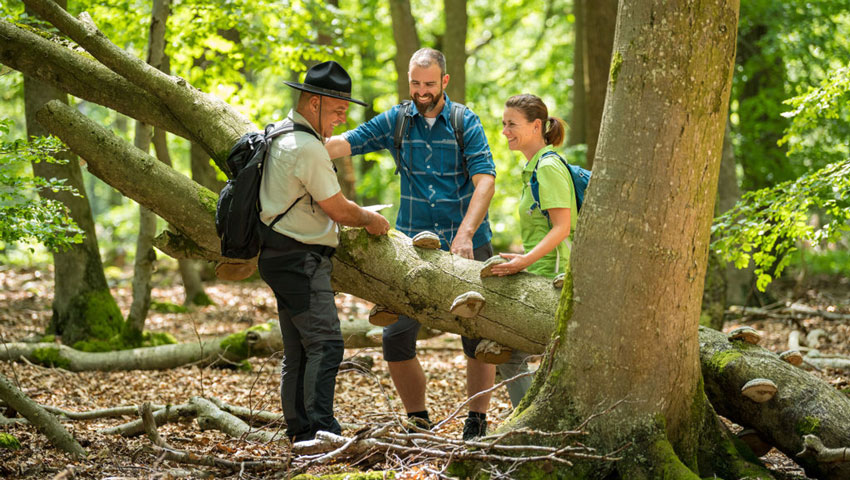 wandelnieuws ranger dominikketz