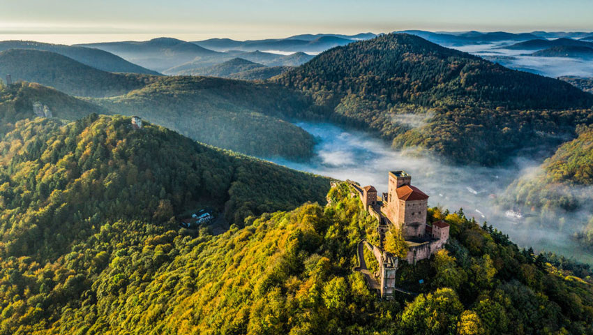 Paltserwoud in Rijnland Palts