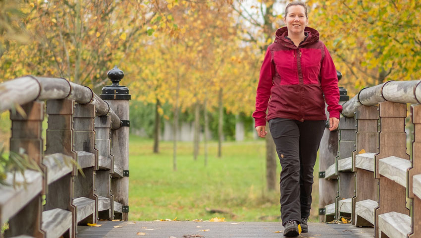 wanda catsman wandeltrainer