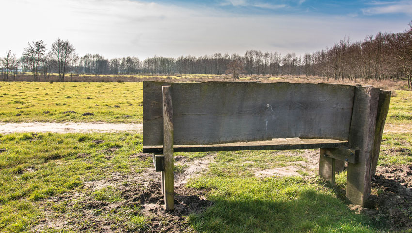 wandelnieuws westerwolde vlagtwedde bankje metha eikens