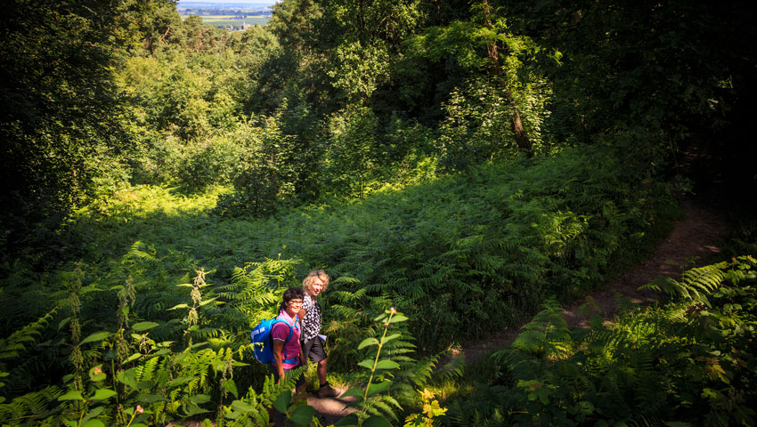 © foto Gemeente Berg en Dal