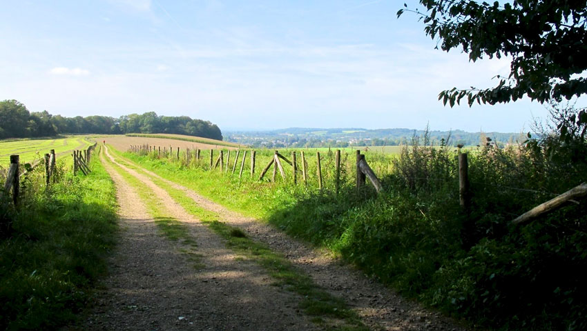 wandelnieuws gerendal alltrails