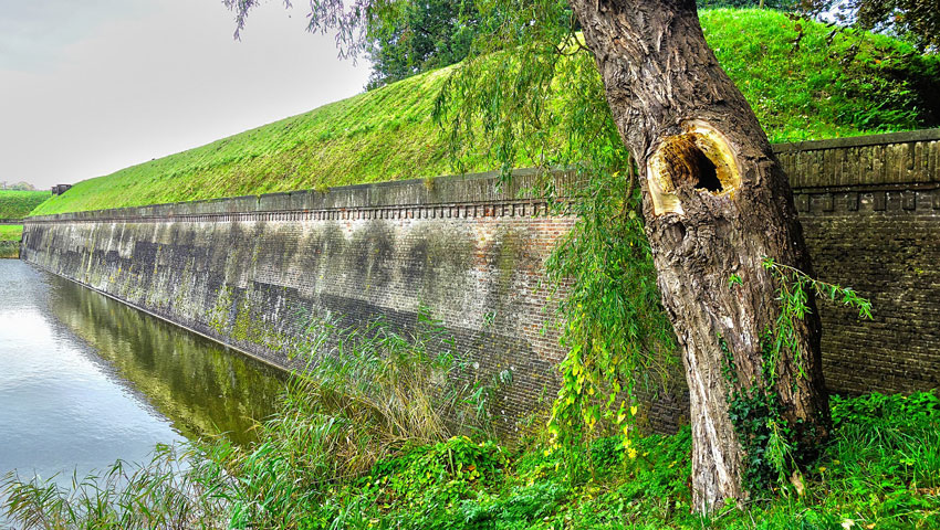 Rondje Naardermeer © foto AllTrails