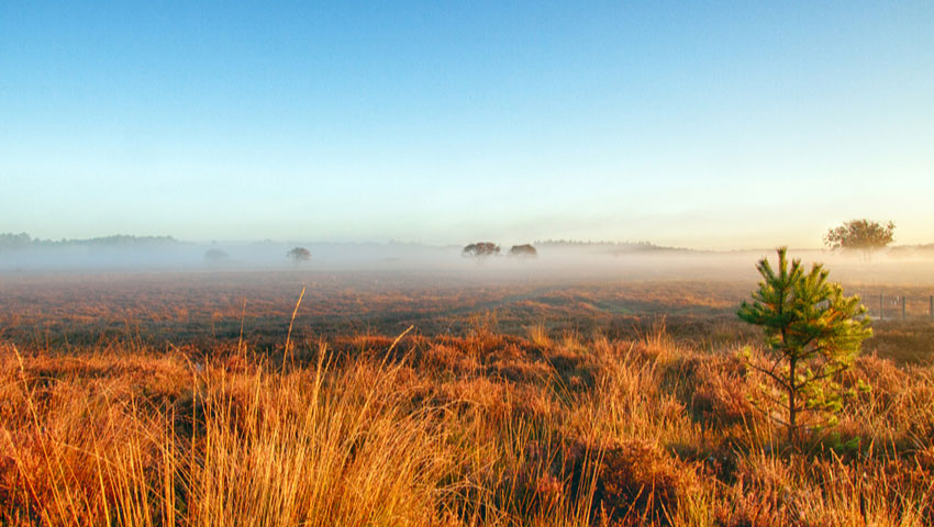 Wandelen in de vroege ochtend is geweldig © foto Shutterstock