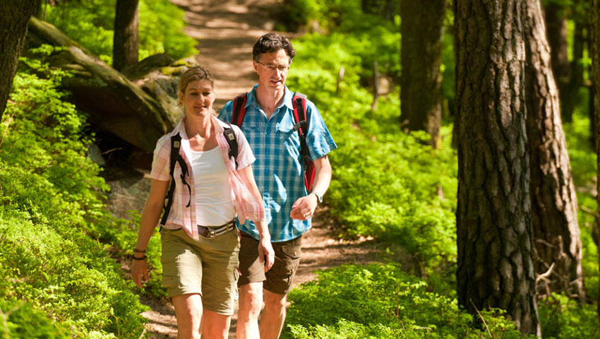 wandelnieuws rp2 dominikketz