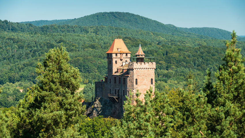 wandelnieuws rp beerwartstein dominikketz