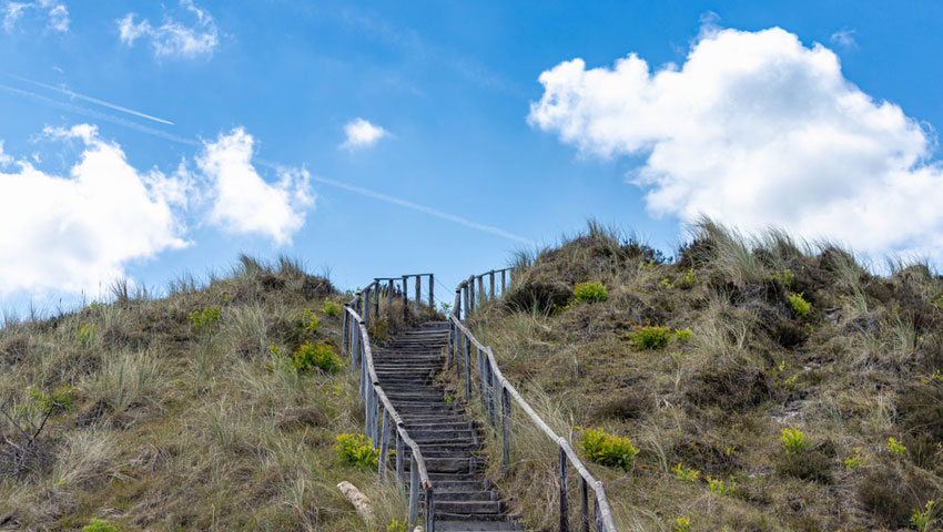 wandelnieuws schoorl 1 shutterstock