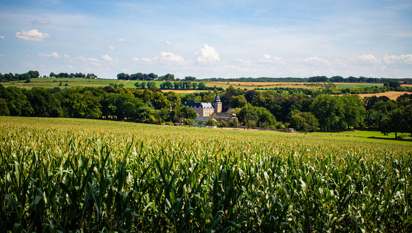 wandelnieuws vaalserberg shutterstock