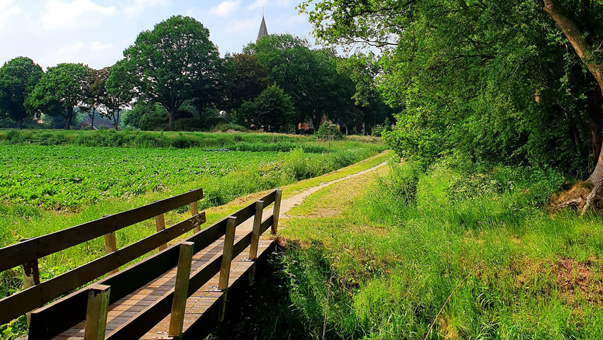 wandelnieuws westerwoldepad