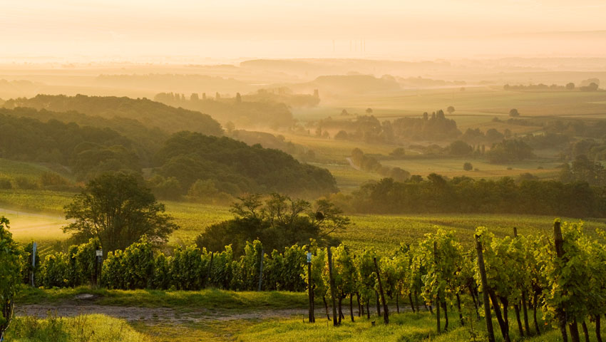 Bewonder het veelzijdige uitzicht in de Palts © Rheinland-Pfalz Tourismus GmbH / Dominik Ketz 