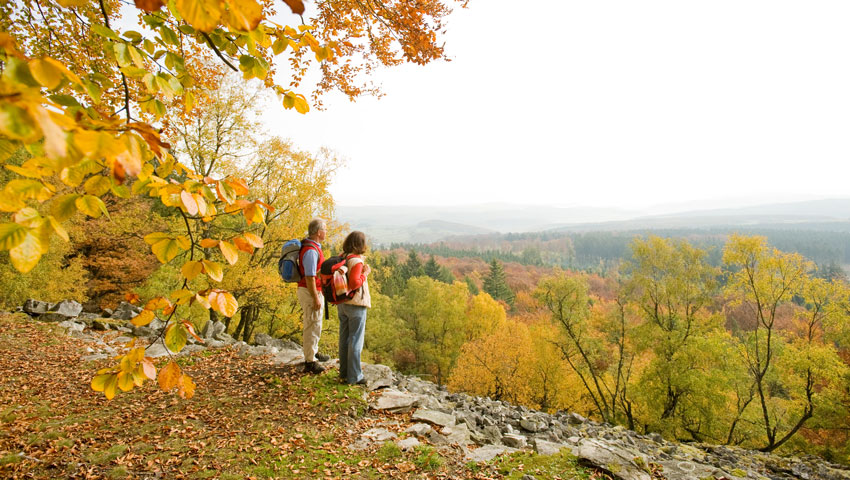 rp 10092020 naherlp1