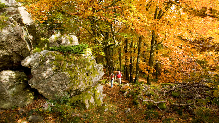 Rotsen langs Saar-Hunsrück Steig © foto Rheinland-Pfalz Tourismus GmbH / Dominik Ketz