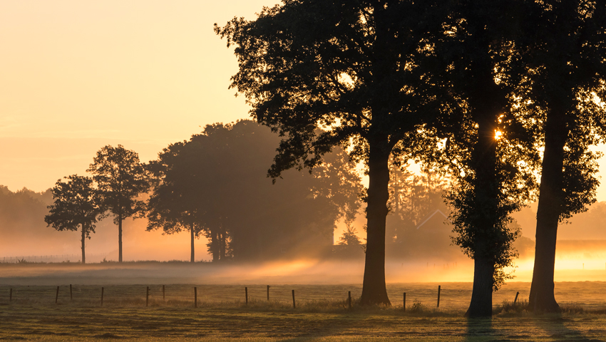wandelnieuws golden hour winterswijk