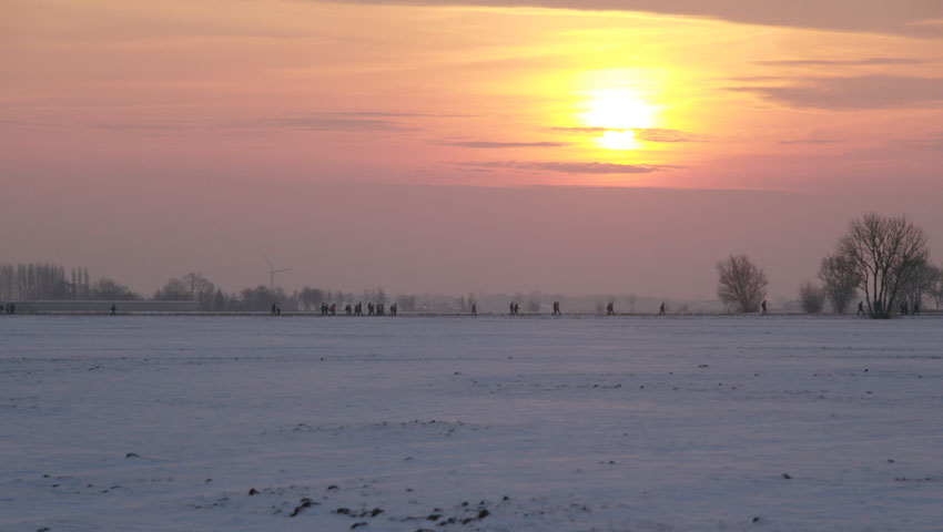 wandelnieuws nrt2013