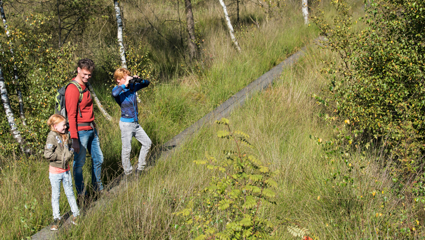 Plankenpad in het Wooldse Veen