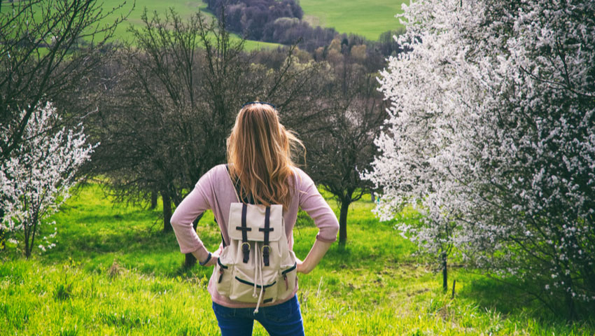 bloesemtocht wandeling