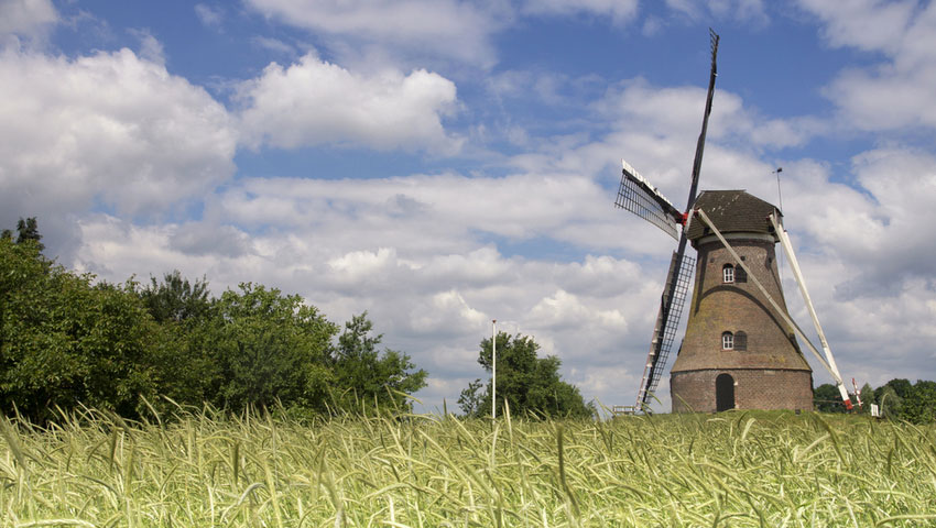 Piepermolen Berkelland klompenpad