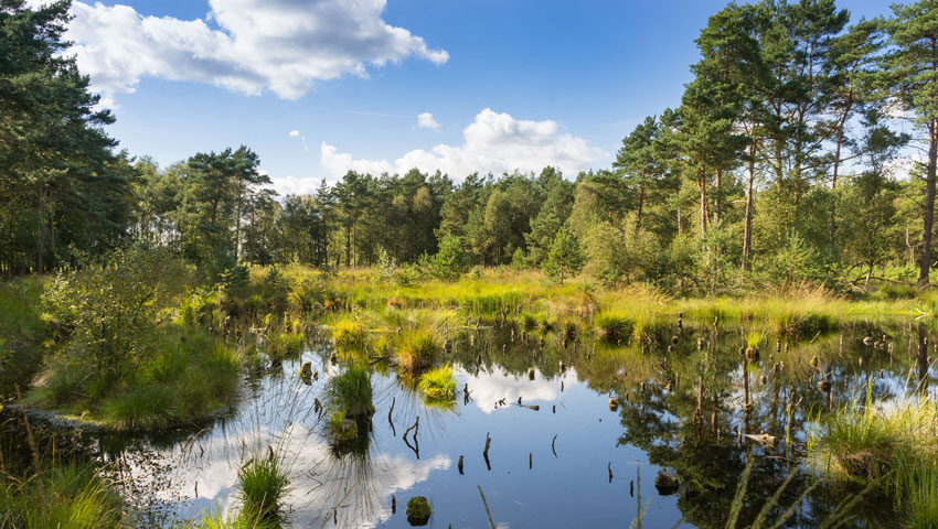 wandelnieuws doert moor veenidylle tourow karl georg müller alias der schlenderer