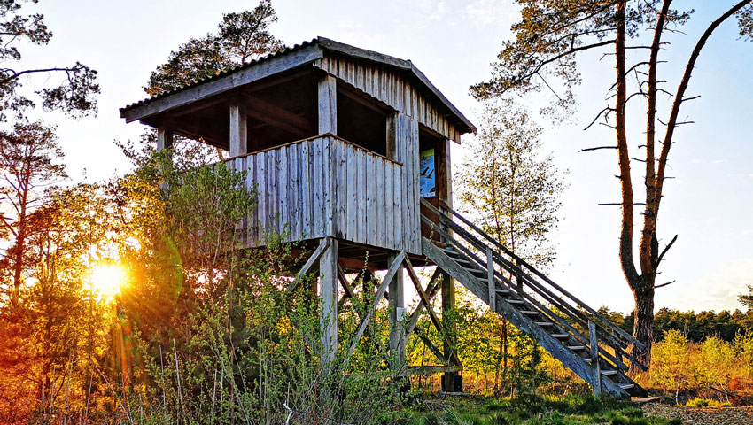 wandelnieuws doer t moor uitkijktoren stadt rotenburg
